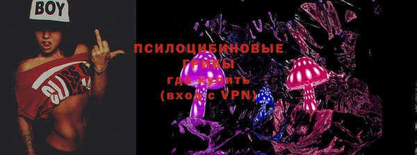эйфоретик Аркадак