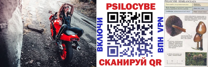 Псилоцибиновые грибы Psilocybe  KRAKEN зеркало  Циолковский  закладки 