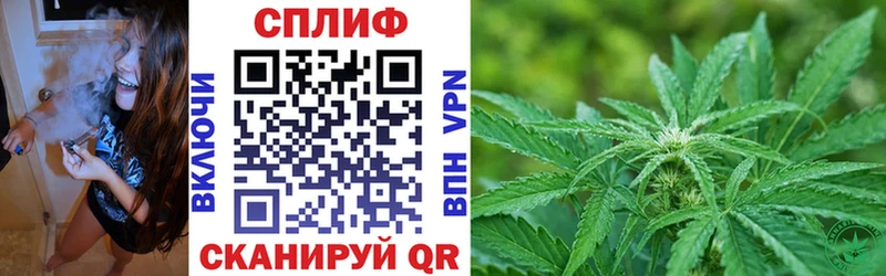 Бошки марихуана THC 21%  Циолковский 